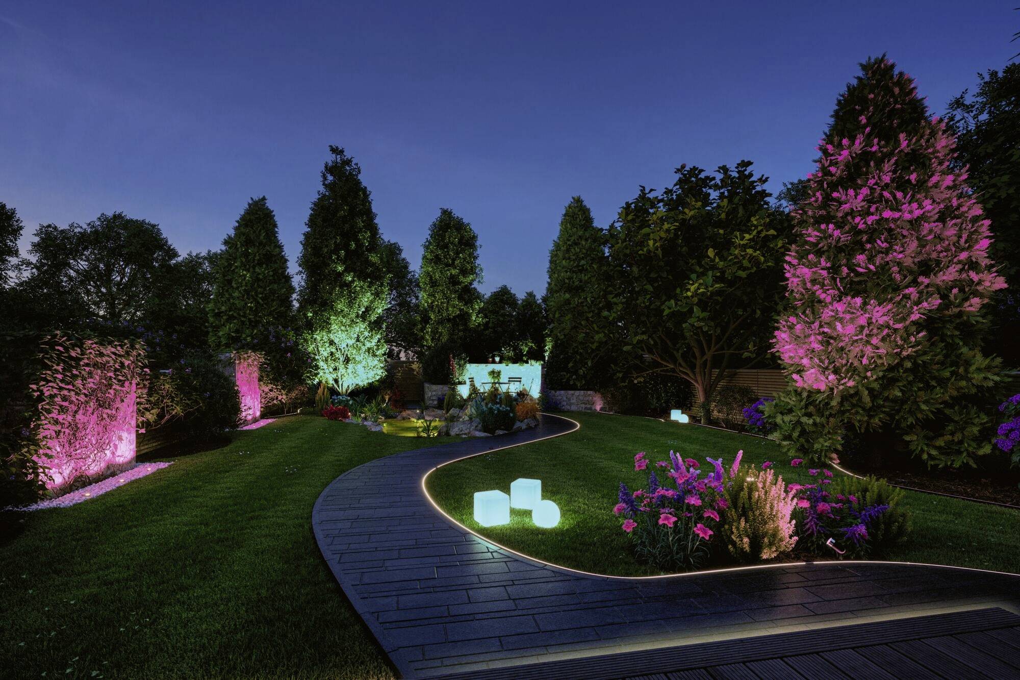 Ein Garten bei Nacht mit beleuchteten Bäumen, Weg und Pflanzen. Die Beleuchtung ist bunt und dekorativ, schafft eine stimmungsvolle Atmosphäre.