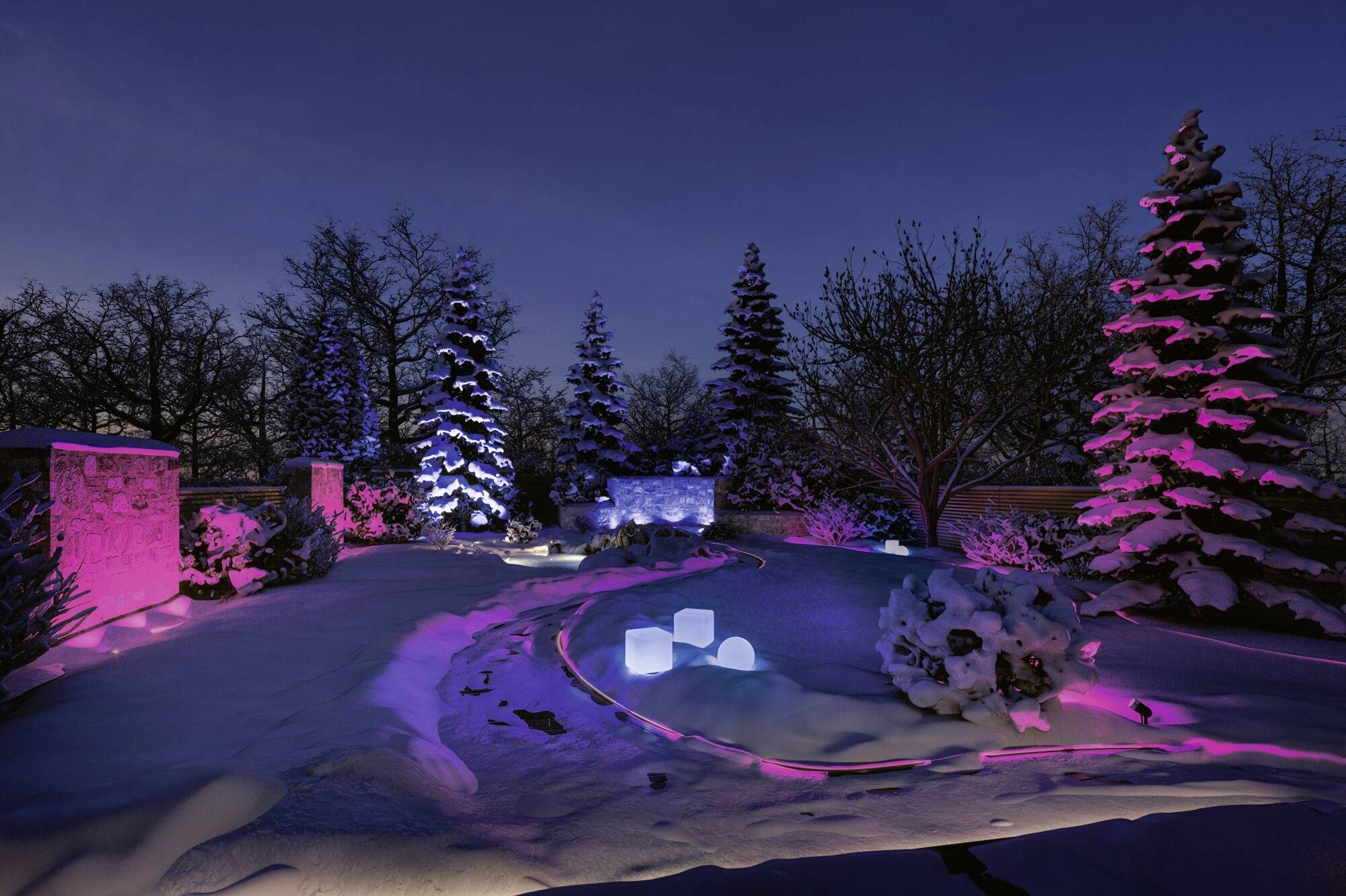 Verschneiter Garten bei Nacht mit Bäumen, die von bunten Lichtern in Pink und Blau beleuchtet sind, schafft eine stimmungsvolle Atmosphäre.
