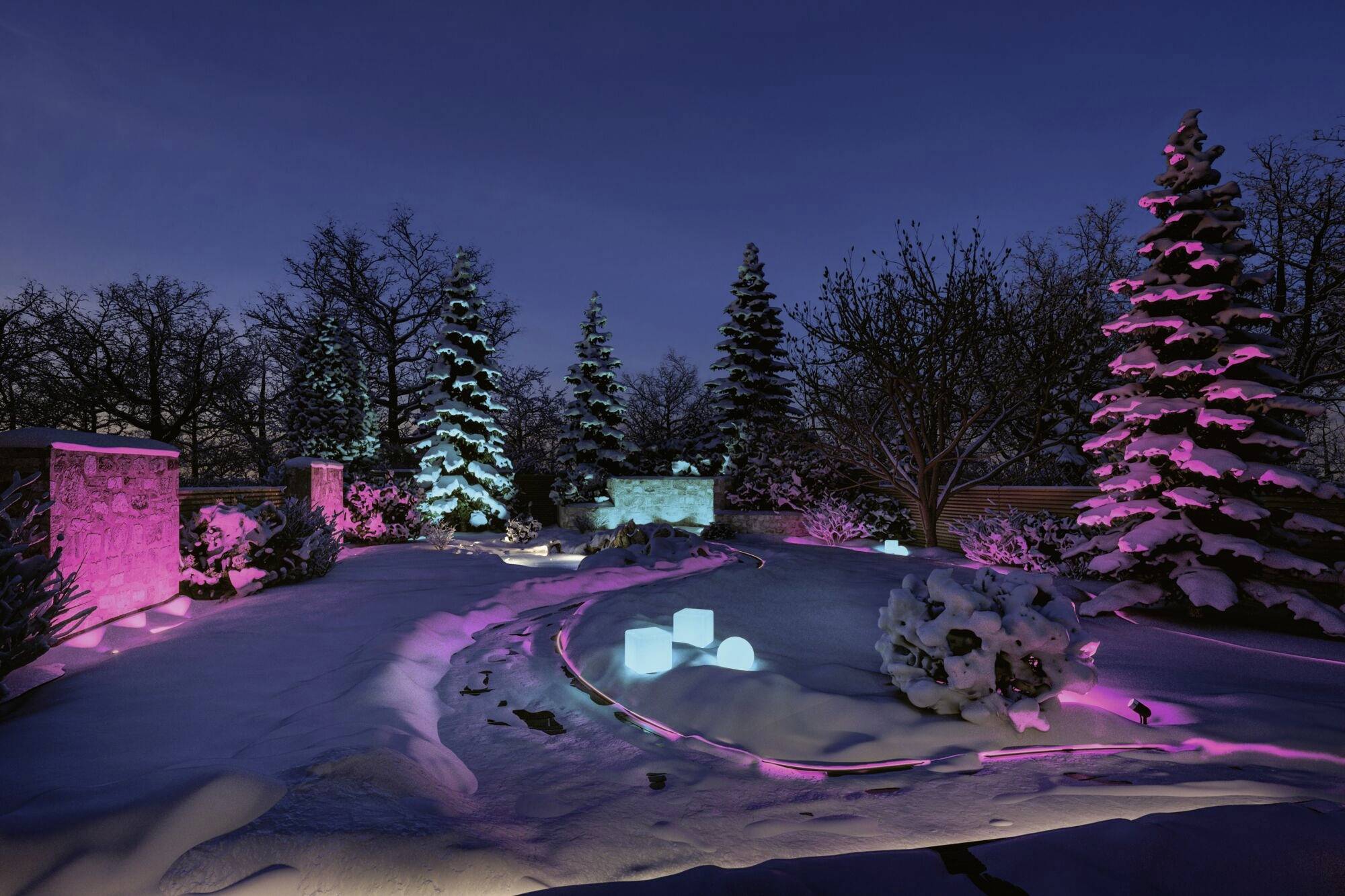 Ein verschneiter Garten bei Nacht, beleuchtet mit farbigem, pinkem und blauem Licht auf den Bäumen und Gehwegen.