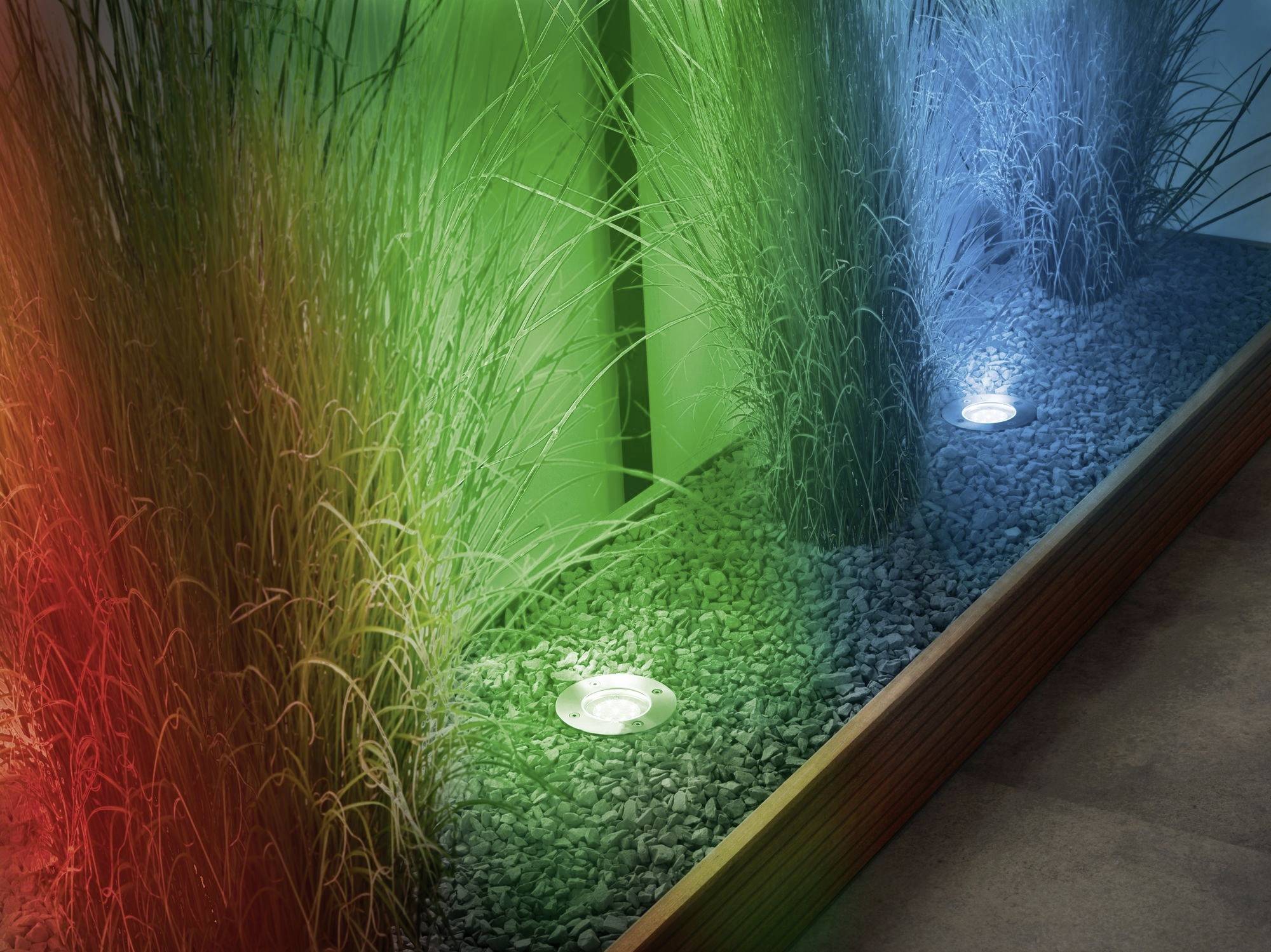 Pflanzen in einem Kiesbeet, beleuchtet mit roten, grünen und blauen Lichtern.