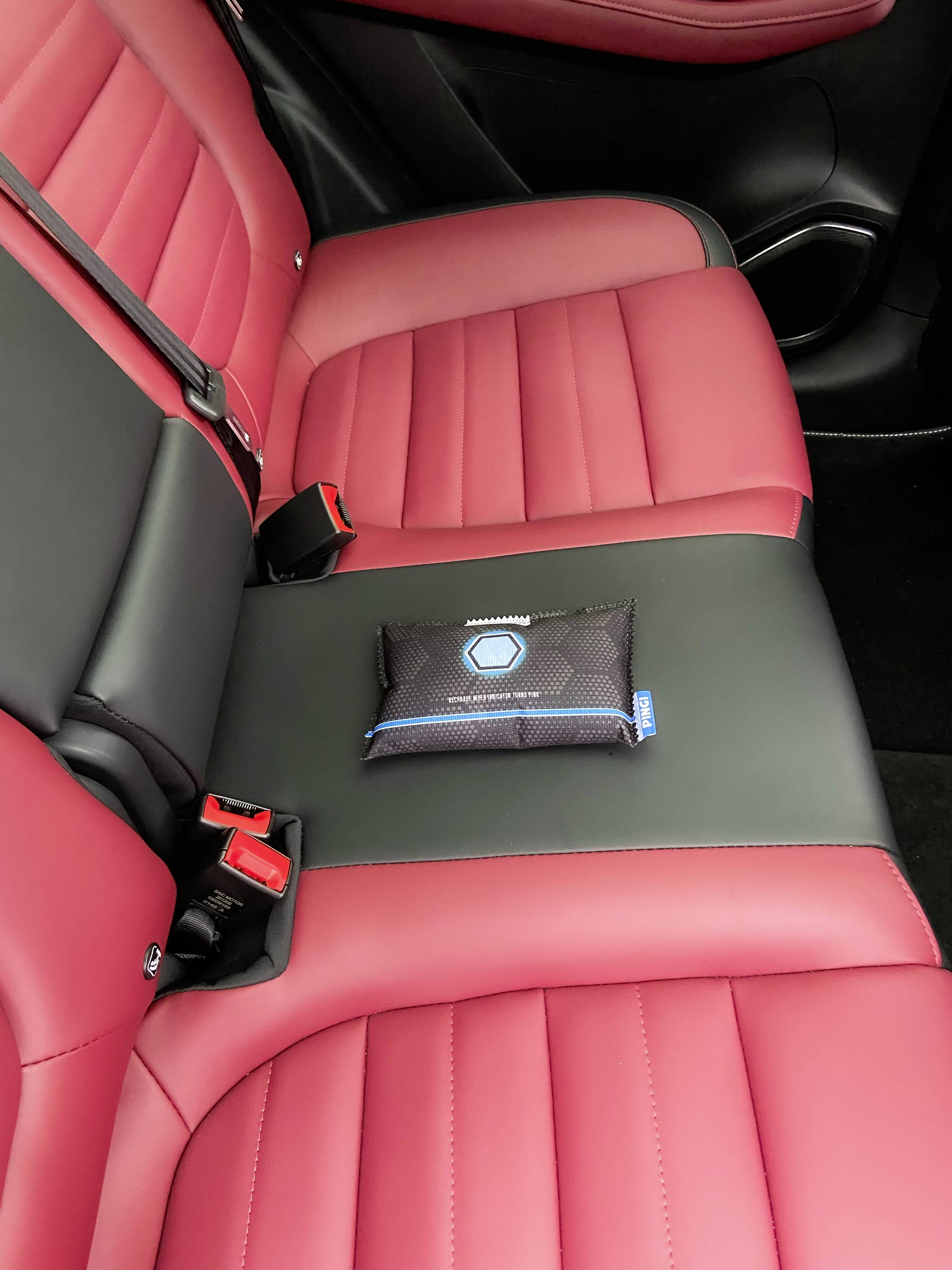 Rote Ledersitze im Auto mit einem kleinen, schwarzen Kissen mit blauem Rand auf der Rückbank platziert.