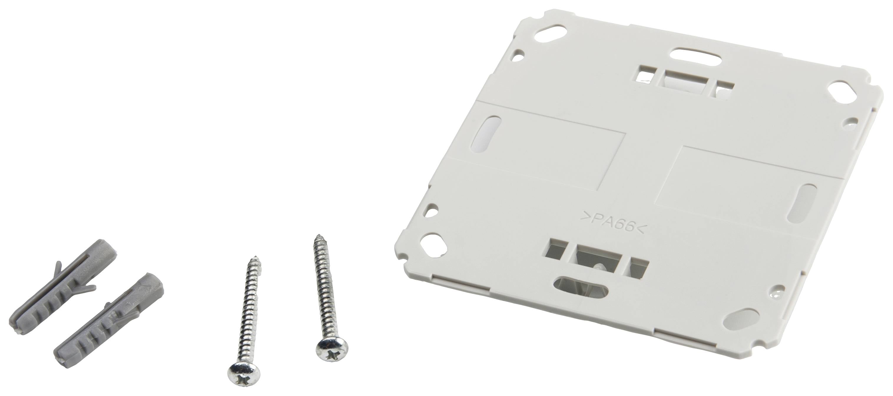 Montageset bestehend aus einer weißen Kunststoffplatte, zwei Dübeln und zwei Schrauben.