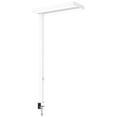 Weiße Tischlampe mit Klemme zur Befestigung an einem Tischrand, geeignet für präzise Beleuchtung von Arbeitsbereichen.