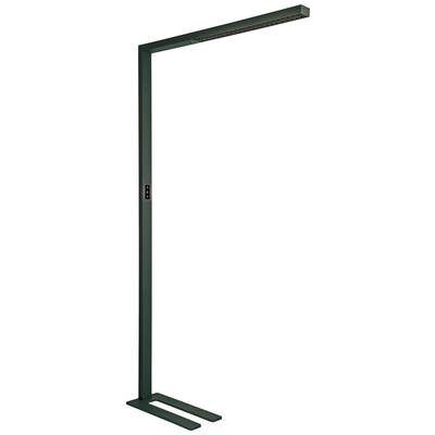 Stehlampe mit schlankem, modernem Design in dunklem Metall. Rechteckiger Lampenkopf strahlt Licht nach unten und oben.