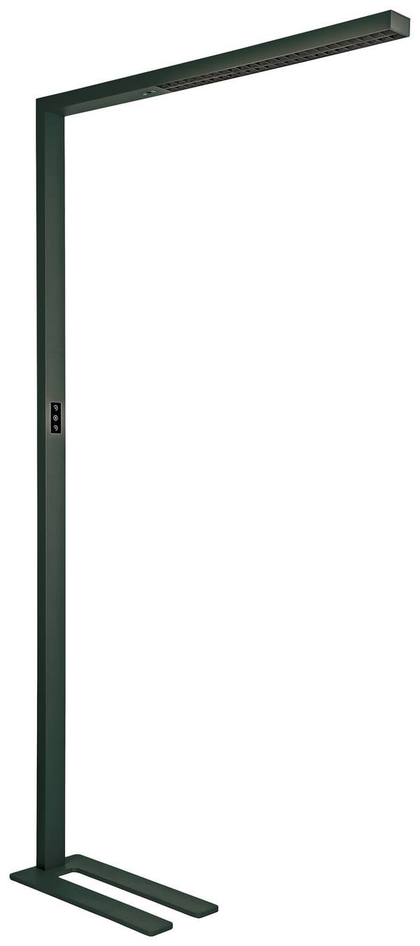 Maul MAULsirius 8259290 LED-Stehlampe mit Bewegungsmelder LED LED fest eingebaut 64 W  Schwarz