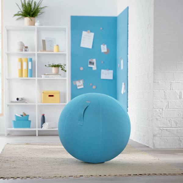 Ein helles Zimmer mit einem türkisfarbenen Gymnastikball im Vordergrund. Im Hintergrund steht ein Regal mit Pflanzen und Büchern.