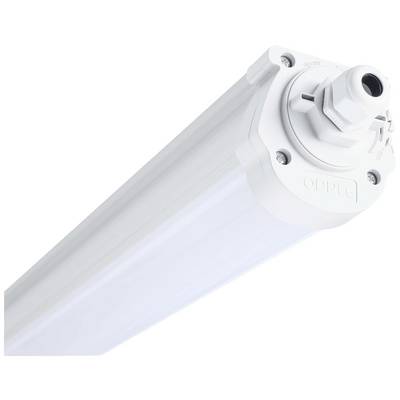 Eine weiße LED-Röhre in Nahaufnahme, montiert in einer Fassung. Geeignet für industrielle oder gewerbliche Beleuchtung.