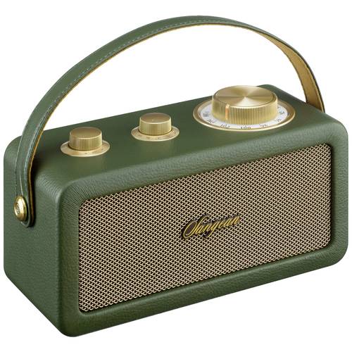Thumbnail - Sangean RA-101 Akku-Radio FM Bluetooth®, AUX wiederaufladbar Grün, Gold