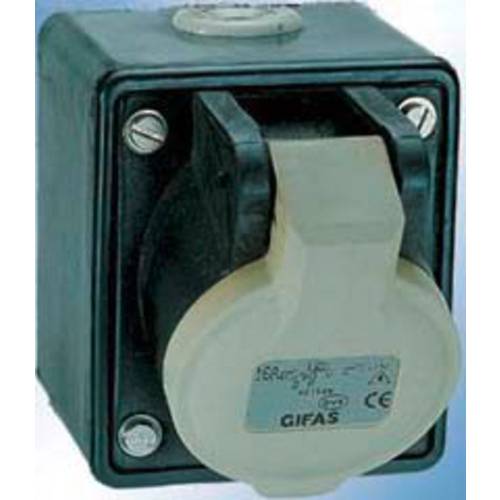 Gifas Electric 421628.E 102765 CEE Wandsteckdose 16 A 2polig 1 St.