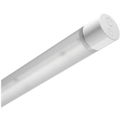 LED-Lichtleiste in zylindrischer Form, geeignet für Innenbeleuchtung.