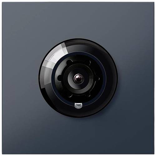 Siedle BCM 653-03 AG Bus-Kamera Vario -