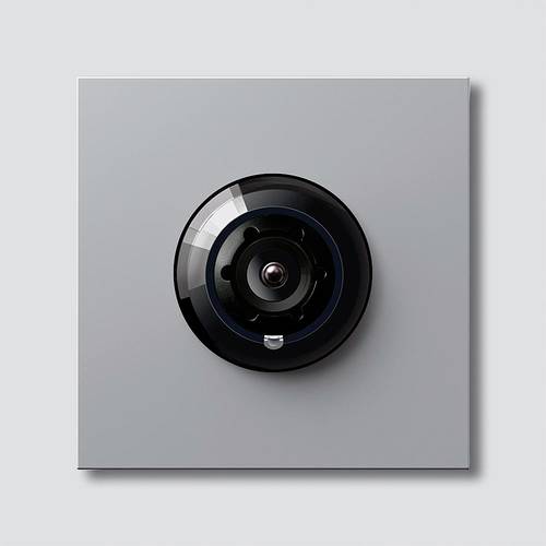 Siedle 200048252-03 Türsprechanlagen-Zubehör Kamera Silber