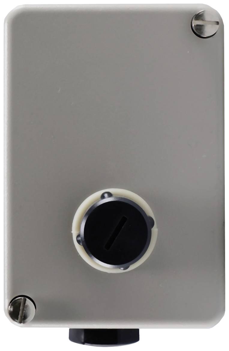 Jumo 60000190 2 points de réglage Déclencheur thermique 150 °C (max.) Relais 10 A