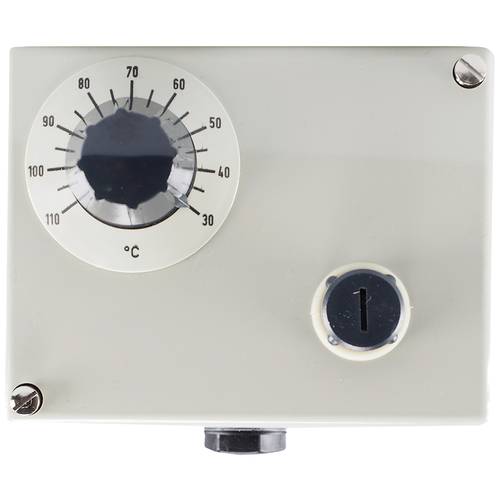 Jumo 60000195 Doppelthermostat