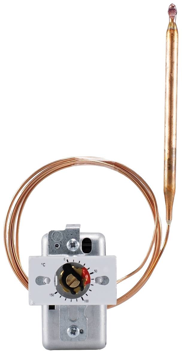 Jumo 60000213 2 points de réglage Disjoncteur thermique 173 °C (max.) Relais 16 A