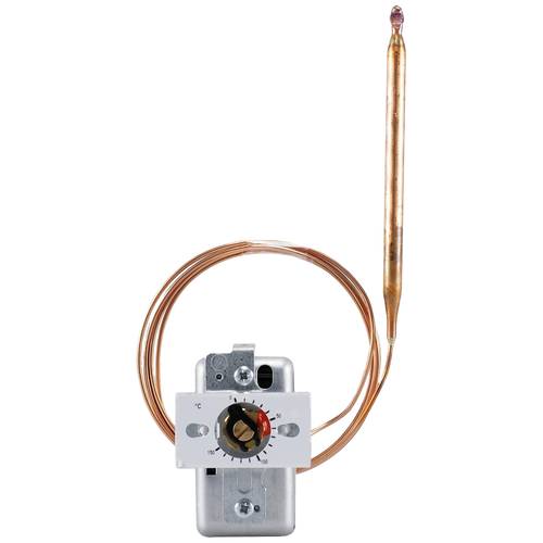 Jumo 60000497 Temperaturwächter