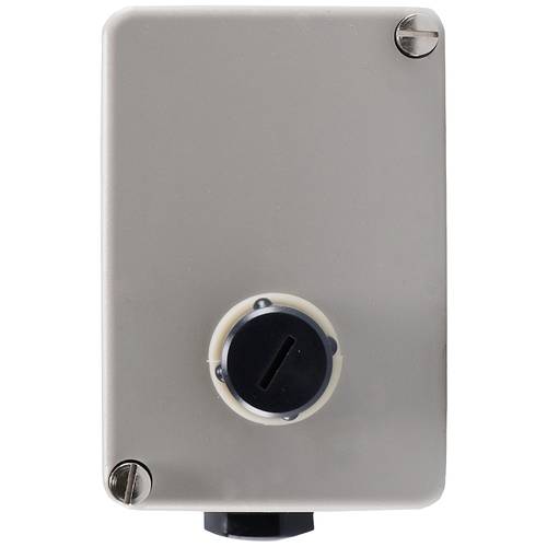 Jumo 60001290 Temperaturbegrenzer