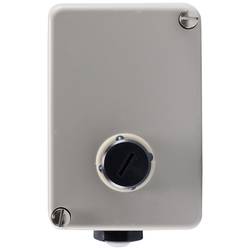 Jumo 60001525 Temperaturbegrenzer