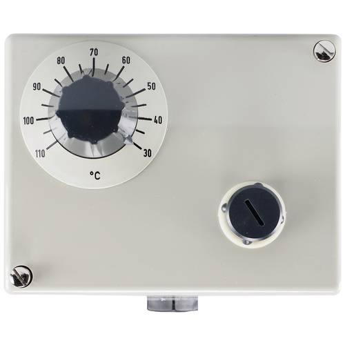 Jumo 60001876 Doppelthermostat