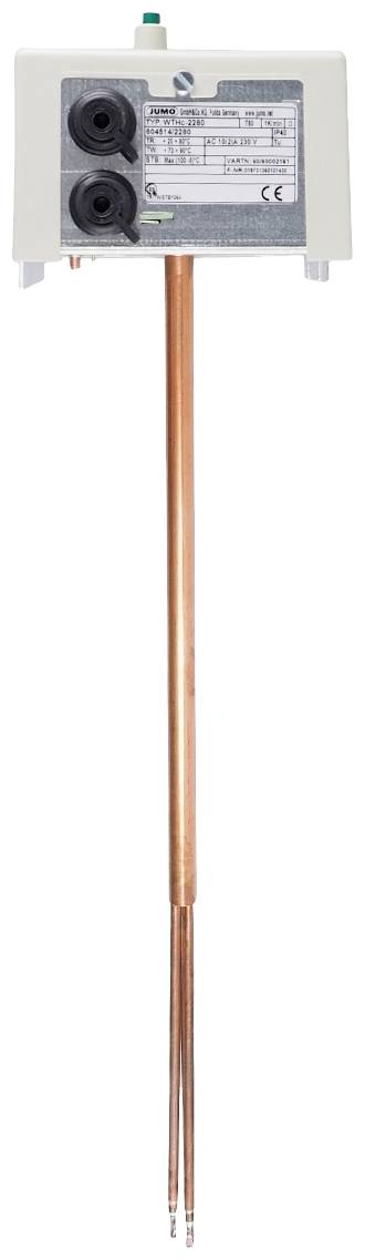 Temperatursensor mit rechteckigem Gehäuse und langer, dünner Sonde aus Kupfer. Geeignet für industrielle Anwendungen zur Temperaturmessung.