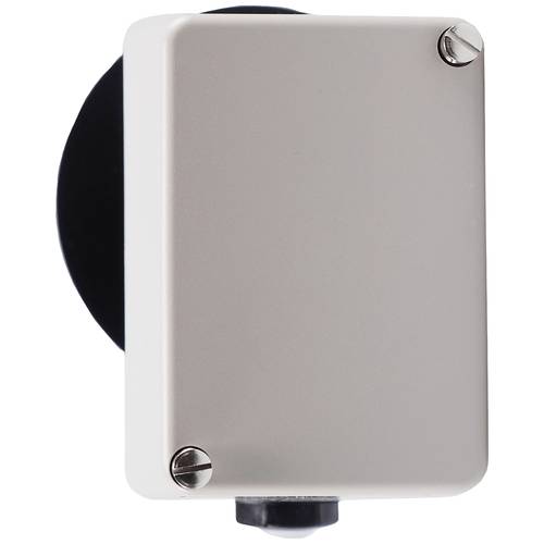 Jumo 60002217 Temperaturbegrenzer