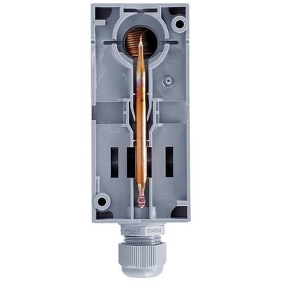 Grauer Gehäusequerschnitt einer elektrischen Komponente mit Kupferspule und Steckverbindung. Zeigt Innenstruktur und Bauteile.