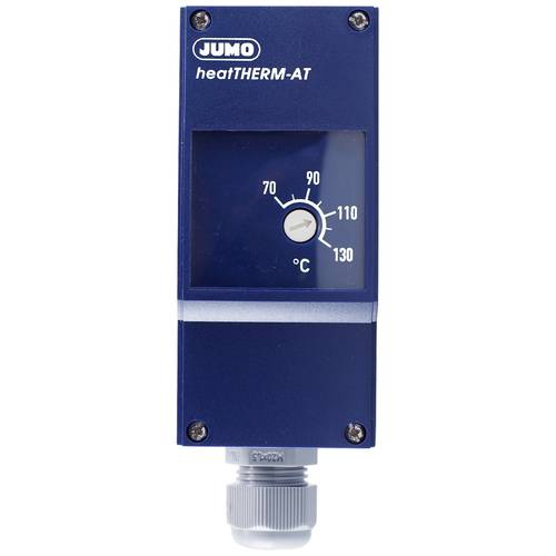 Jumo 60003189 Sicherheitstemperaturwächter