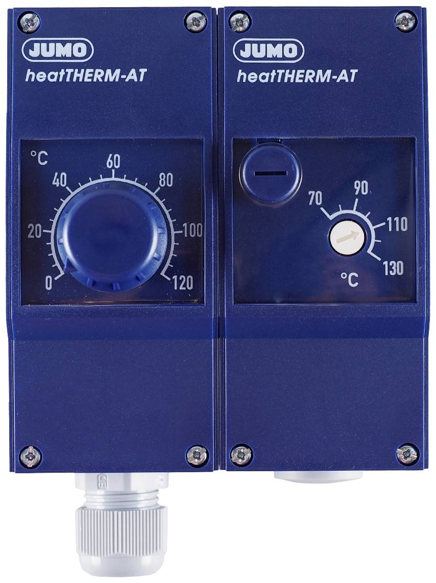Jumo 60003196 2 points de réglage Double thermostat -20 à 149 °C Relais 16 A