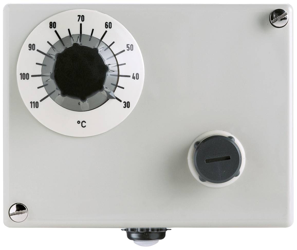 Jumo 60003332 Doppelthermostat