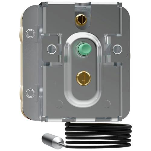 Jumo 60003432 Temperaturbegrenzer