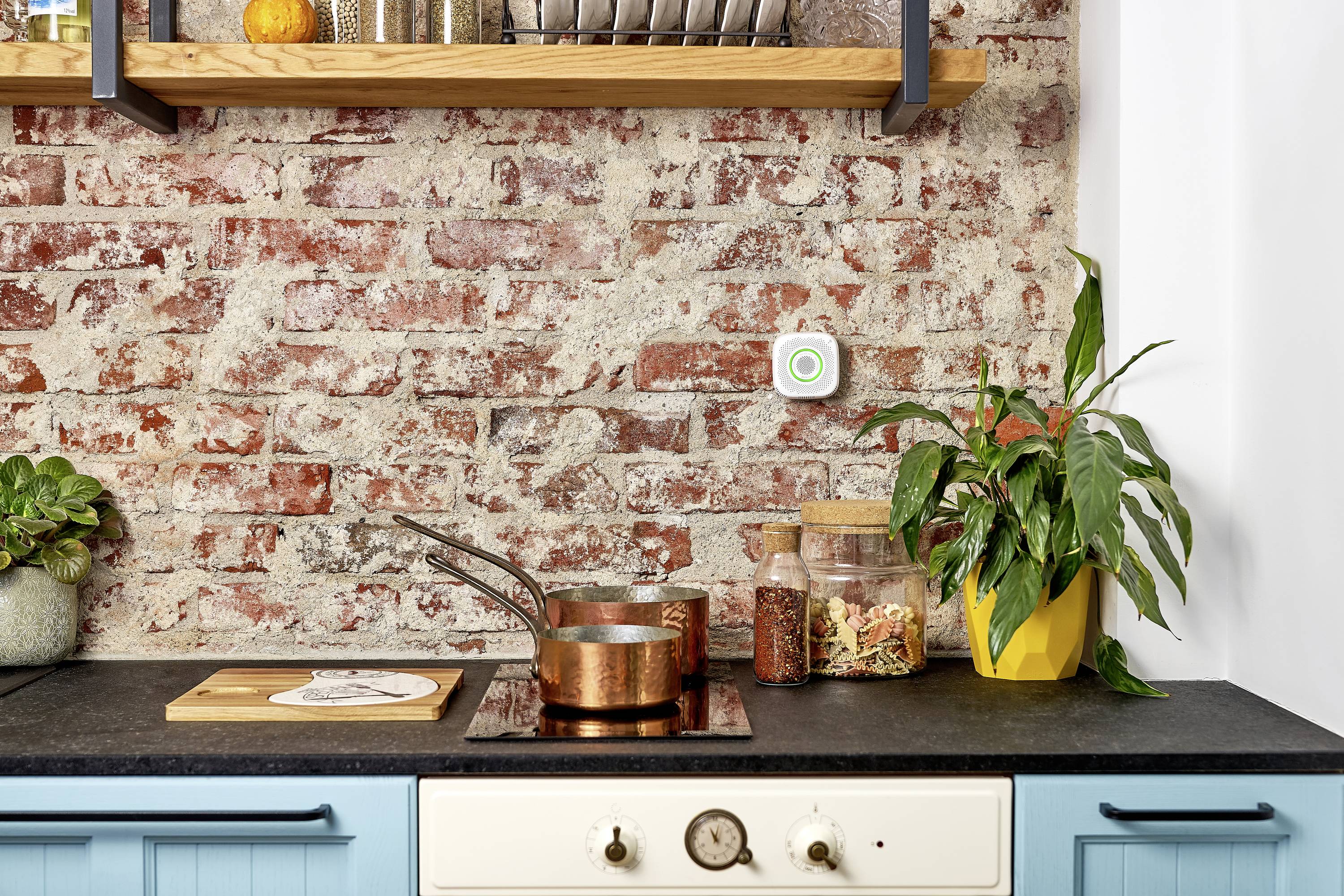 Küche mit Backsteinwand, zwei Töpfen auf dem Herd, Holzregal mit Tellern und Dekoration. Pflanzen auf der Arbeitsplatte.