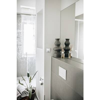 Modernes Badezimmer mit einer Duschkabine, einer Topfpflanze und zwei dunklen Vasen auf einem Regal neben einem Lichtschalter.