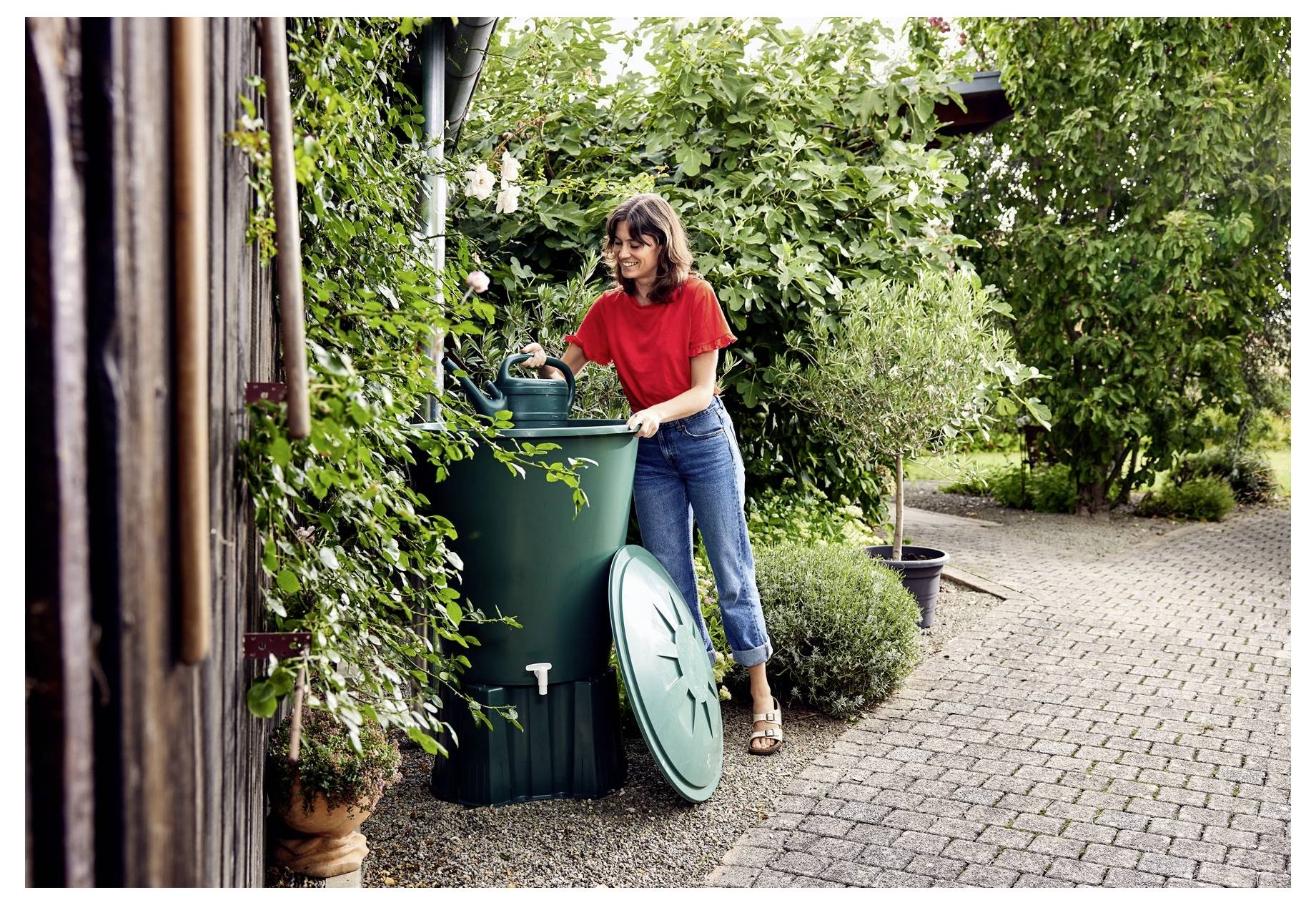 Eine Person in einem roten Hemd sammelt Regenwasser aus einem grünen Fass, umgeben von üppigen Gartenpflanzen auf einer gepflasterten Fläche.