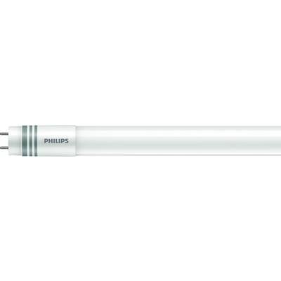 Röhre einer Leuchtstofflampe von Philips mit zwei Metallpins an einem Ende, auf weißem Hintergrund.