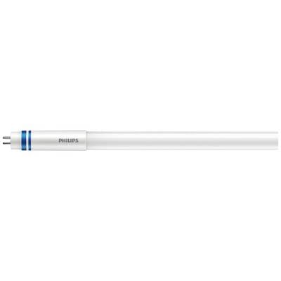 Weiße Philips LED-Röhre mit silberner Spitze und blauen Ringen, geeignet für Büro- oder Wohnraumbeleuchtung.