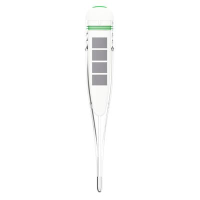 Digitales Fieberthermometer mit länglicher Form und Metallspitze. Oberhalb des Displays sind vier vertikale Grauflächen sichtbar.
