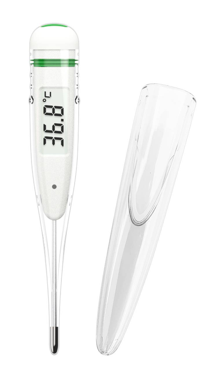 Digitales Thermometer, zeigt 36,8 Grad Celsius an, neben einer transparenten Schutzhülle.