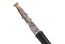 Molex Crimpkontakt mit Litze 79758-2037 1 St. Bag