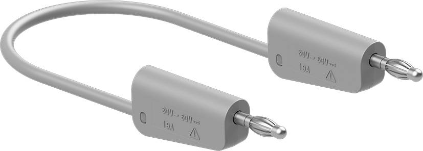 Ein graues Stromkabel mit zwei Steckern, geeignet für eine Spannung von 250V und einen Strom von 16A.