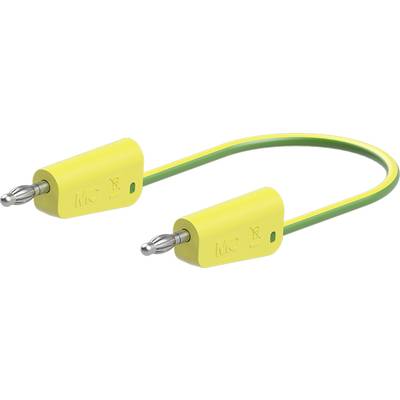 Gelb-grünes Kabel mit zwei Steckverbindern, genutzt für elektrische Erdungszwecke.