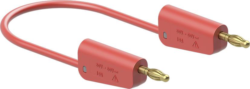 Rotes Bananenstecker-Verbindungskabel; zwei Enden mit Sicherheitsisolierung, geeignet für Spannungen bis zu 30V bei 19 A.