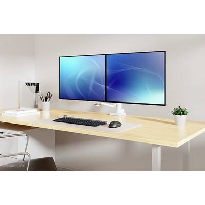 Ein moderner Schreibtisch mit zwei nebeneinander platzierten Monitoren, einer Tastatur und Maus, sowie einer Pflanze als Dekoration.