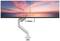 Zwei nebeneinander angebrachte Monitore zeigen einen Sonnenuntergang am Meer. Ein weißer Monitorarm hält die Bildschirme zusammen.