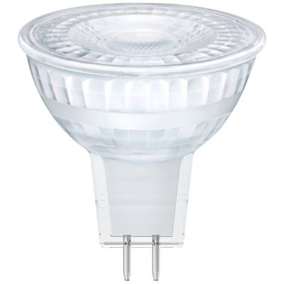 Eine klare LED-Spotlampe mit GU5.3-Sockel, geeignet für präzise Beleuchtung in Wohn- und Geschäftsräumen.