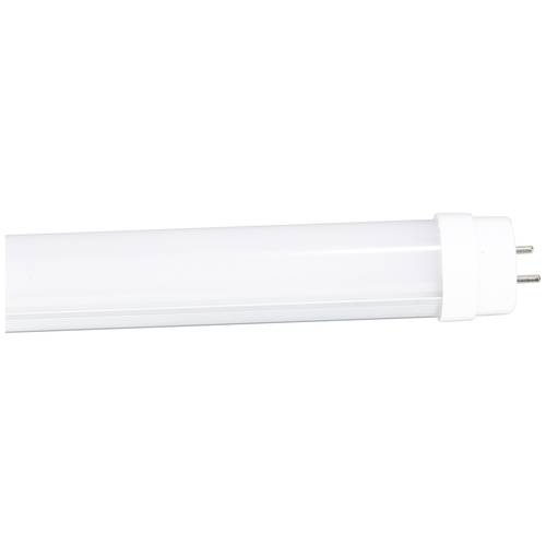LightMe LM85283 LED EEK E (A - G) G13 Röhrenform 12 W Neutralweiß (Ø x H) 28 mm x 908 mm 1 St.
