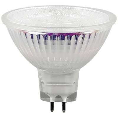 Eine transparente Halogenlampe mit zweipoligem Sockel. Sie wird häufig in Spotbeleuchtungen verwendet.