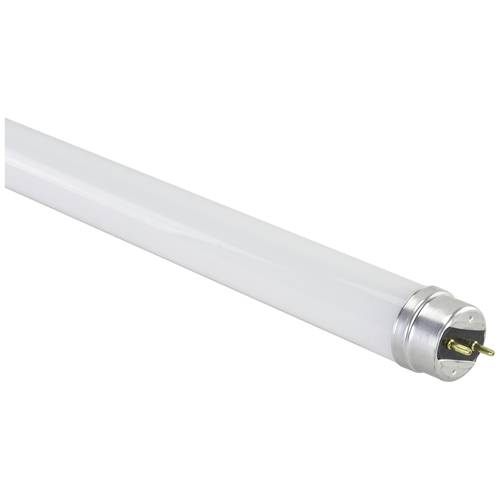 Megaman MM54254 LED EEK F (A - G) G13 Röhrenform 9 W Neutralweiß (Ø x L) 28 mm x 603 mm 1 St.