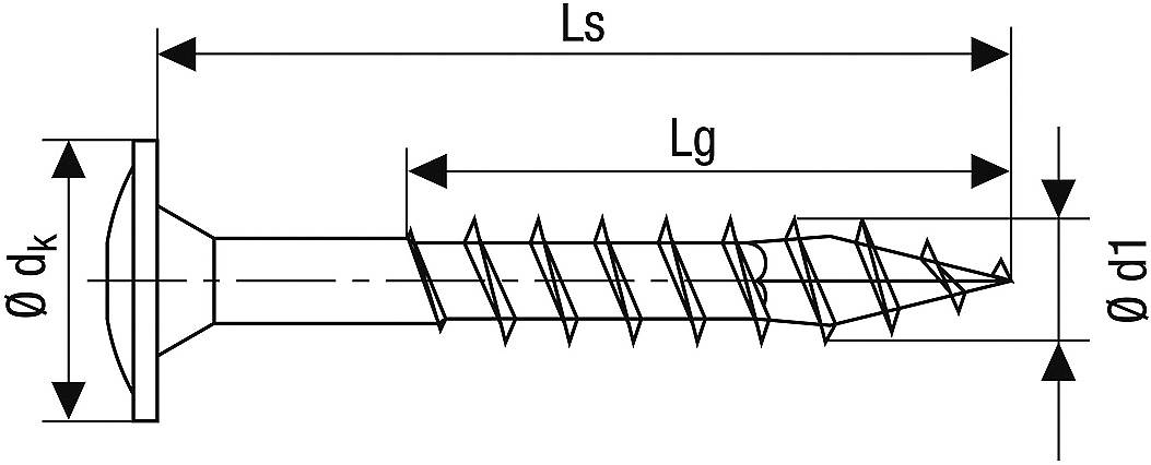 Technische Zeichnung einer Schraube mit markierten Maßen: Gesamtlänge (Ls), Gewindelänge (Lg), Kopfdurchmesser (dk) und Durchmesser des Gewindes (d1).