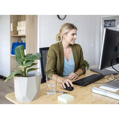 Eine Frau sitzt lächelnd am Schreibtisch und arbeitet am Computer. Neben ihr steht eine Pflanze und ein Glas Wasser. Im Hintergrund sind Regale zu sehen.