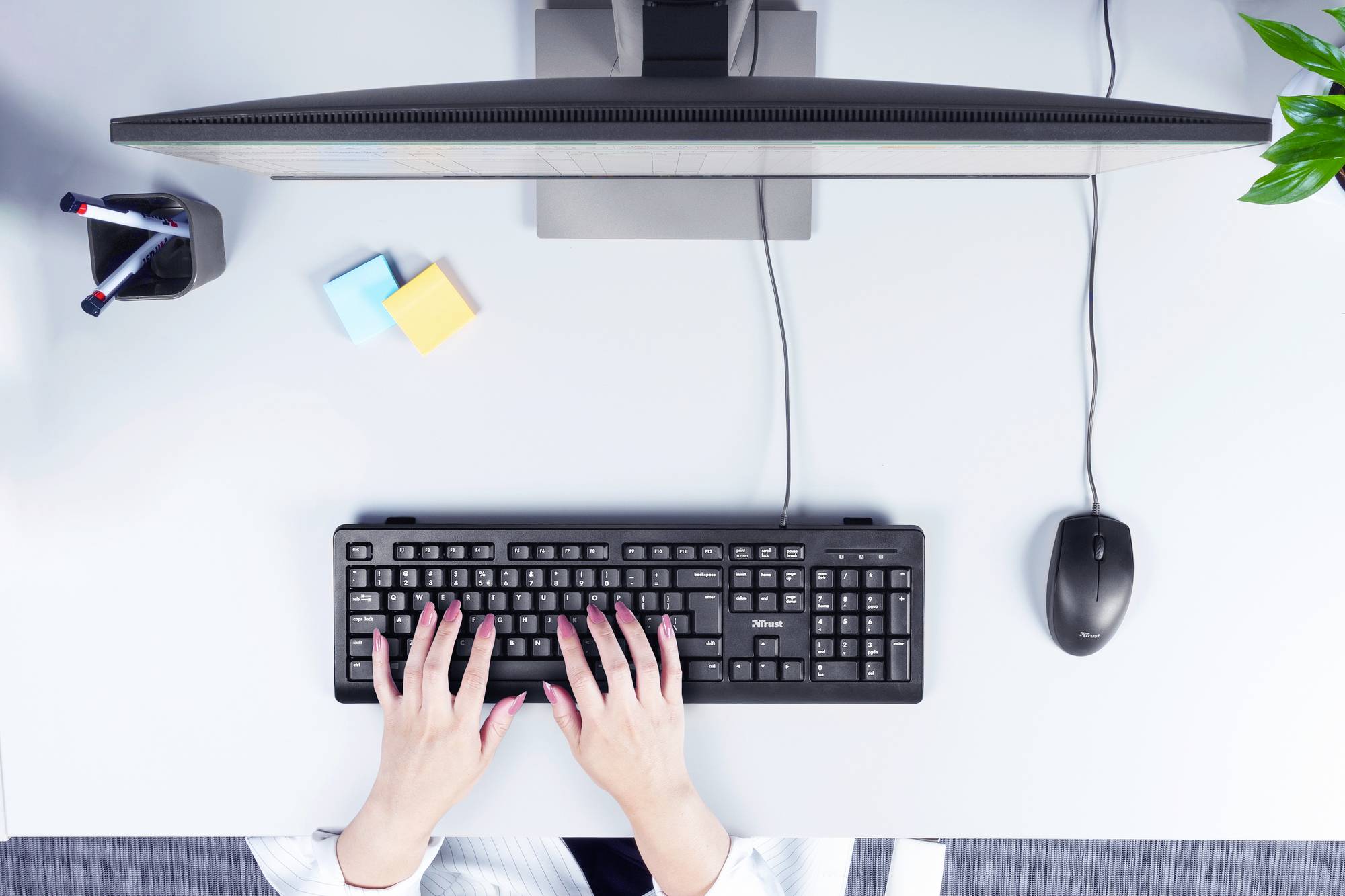 Eine Person tippt auf einer Computertastatur an einem Schreibtisch, flankiert von einem Monitor, Büromaterial und einer Pflanze.